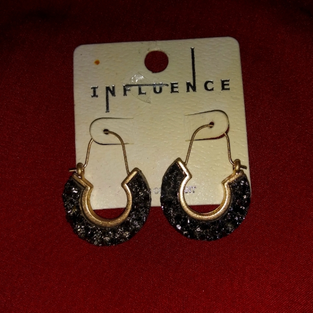 Silver/Black Earrings